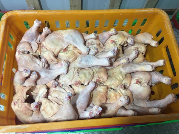 Kho lạnh bảo quản thịt gà - Kho Lạnh Hưng Phát - Công Ty CP TM Và DV Kỹ Thuật Lạnh Hưng Phát